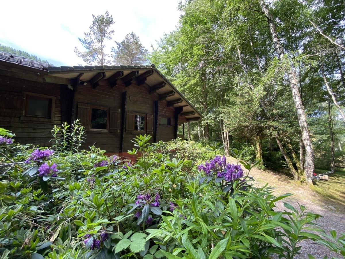 Le Fishing Lodge Chalet En Bois Avec Bain Nordique La Bresse Zewnętrze zdjęcie
