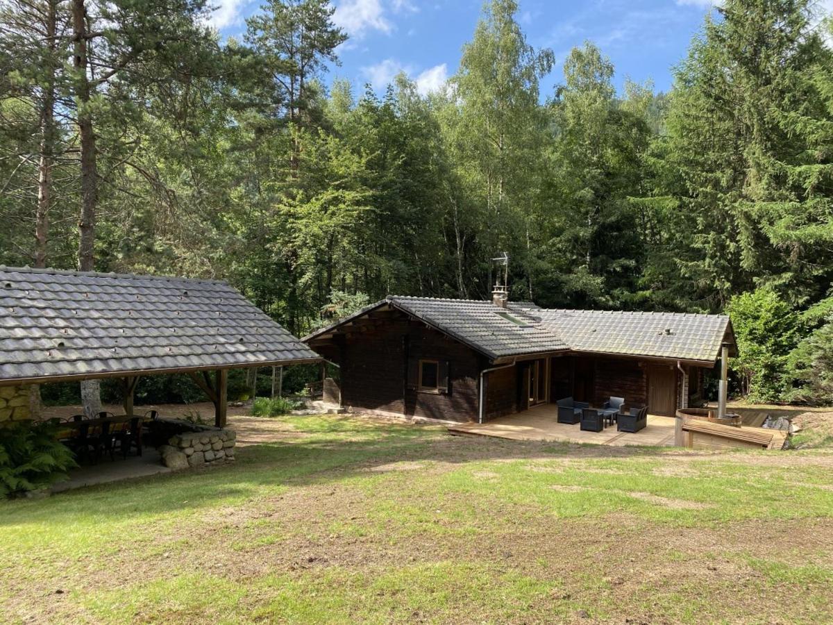 Le Fishing Lodge Chalet En Bois Avec Bain Nordique La Bresse Zewnętrze zdjęcie